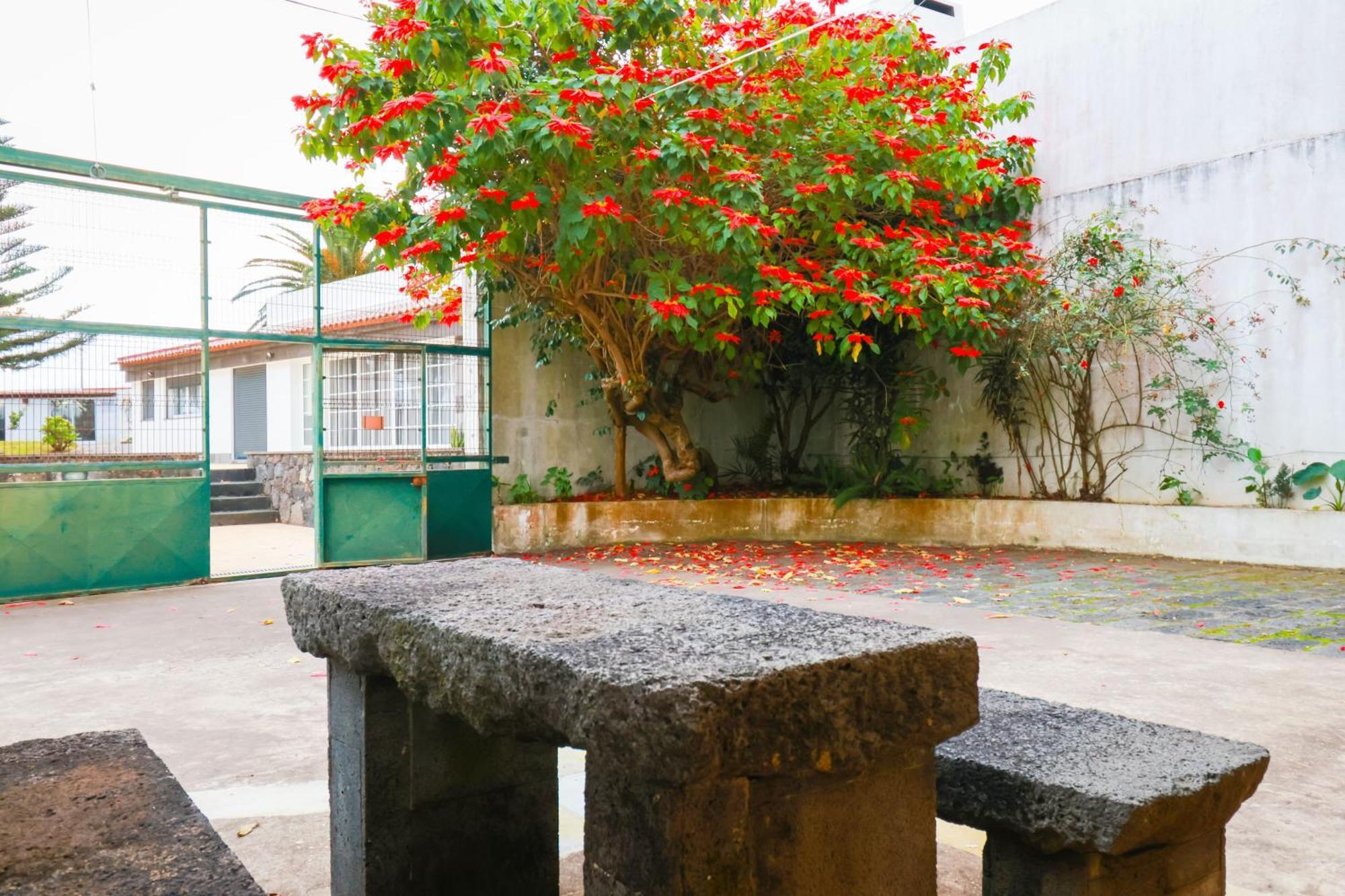 Casa Barao Das Laranjeiras ポンタ・デルガダ エクステリア 写真